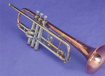 Труба (музыкальный инструмент): виды, фото